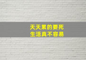 天天累的要死 生活真不容易